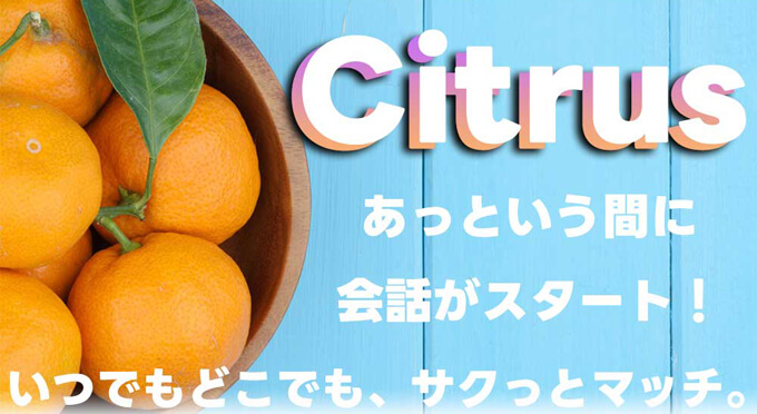 シトラスのトップ