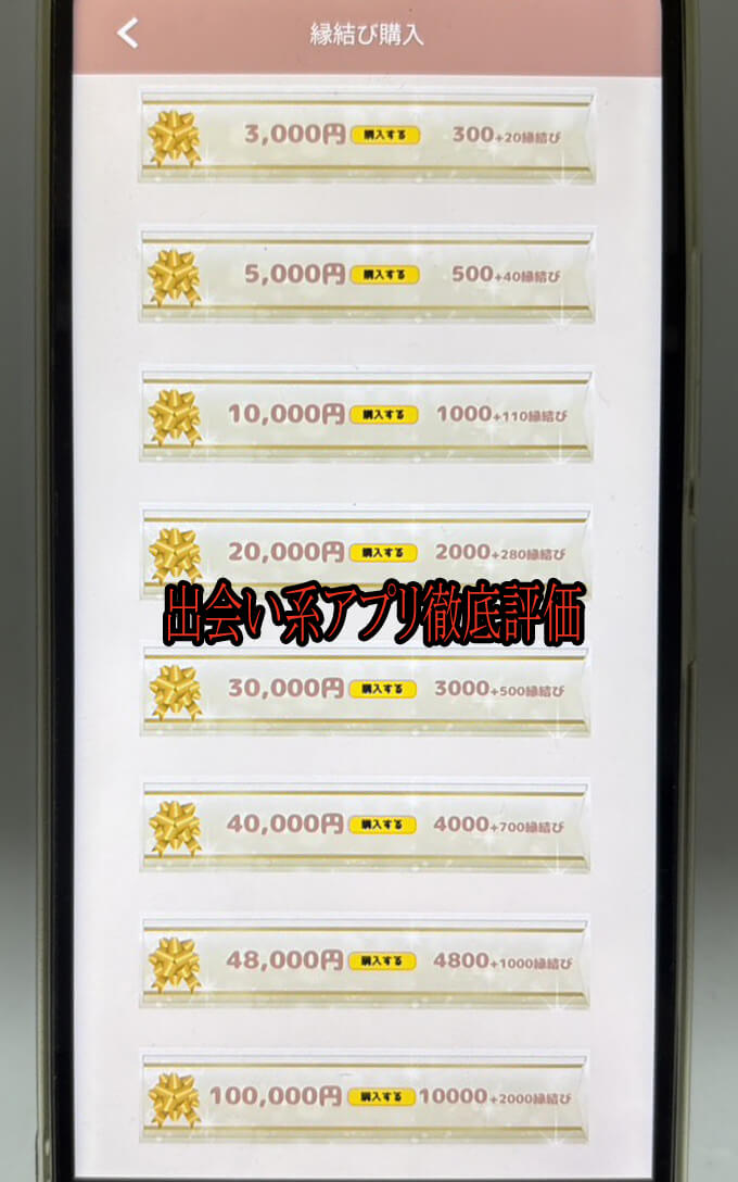 縁結びホームの料金１