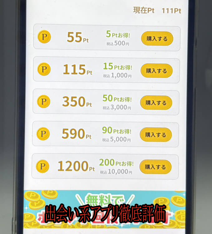 良縁パートナーの料金1